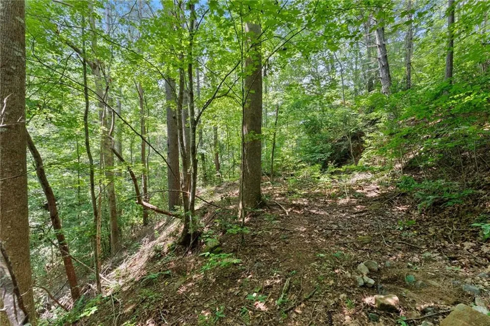 17 Dach Bruecke Gasse Helen, GA 30545