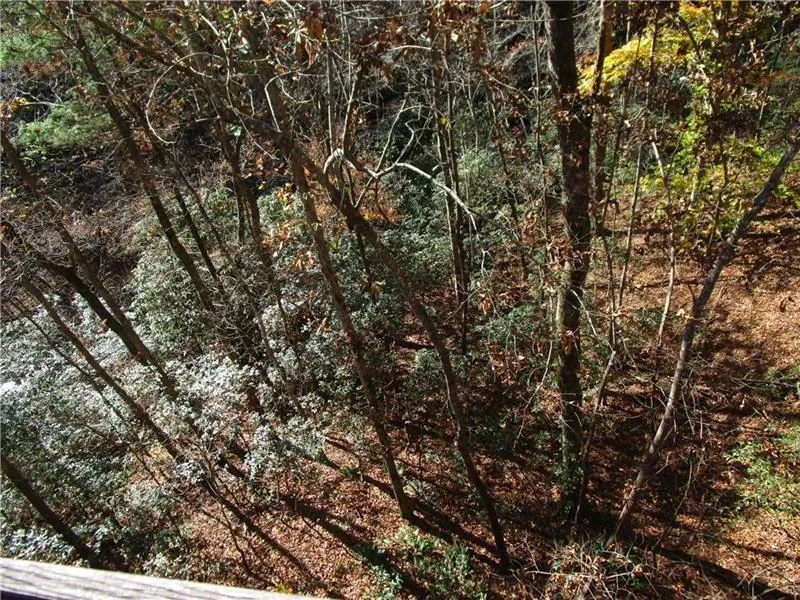 17 Dach Bruecke Gasse Helen, GA 30545