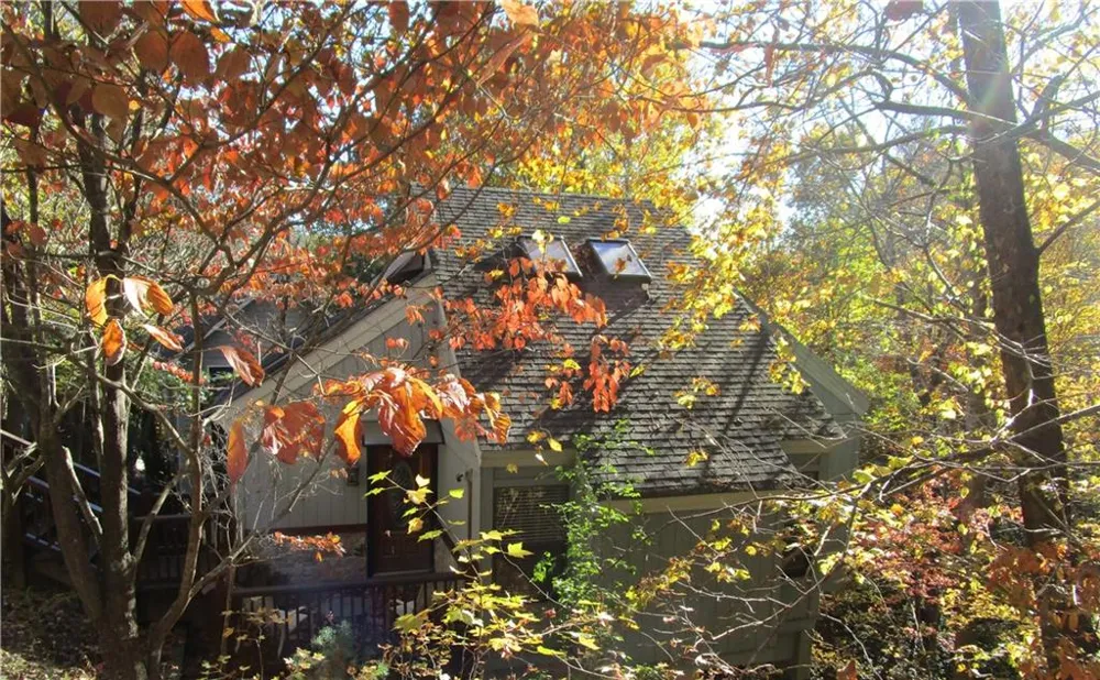 17 Dach Bruecke Gasse Helen, GA 30545