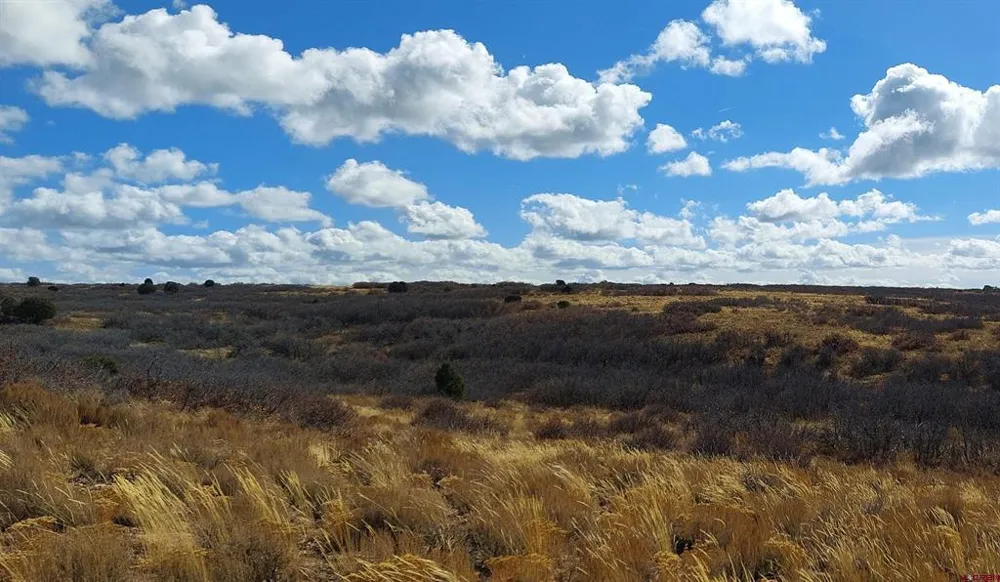 Road C Dove Creek, CO 81324