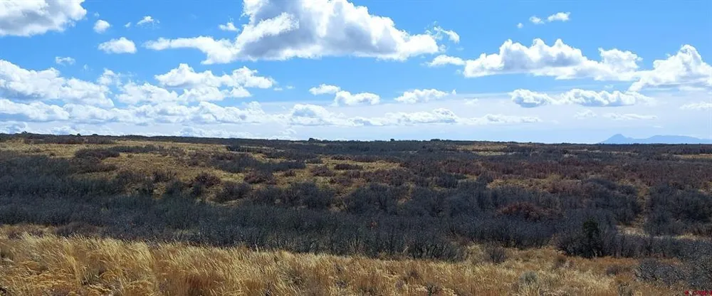 Road C Dove Creek, CO 81324