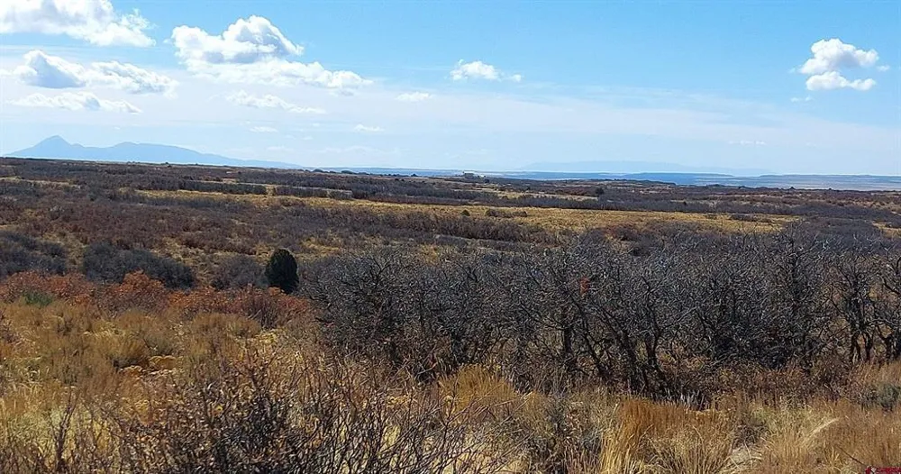 Road C Dove Creek, CO 81324
