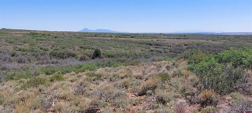 Road C Dove Creek, CO 81324