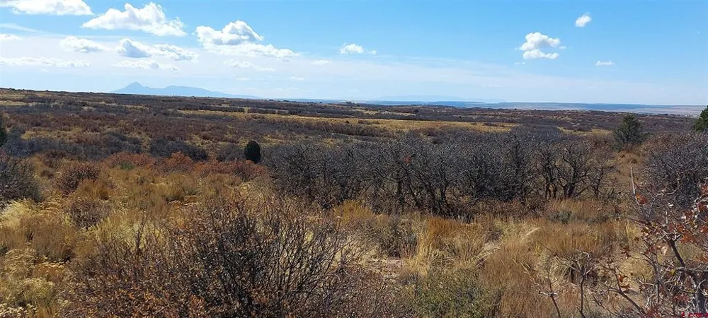 Road C Dove Creek, CO 81324