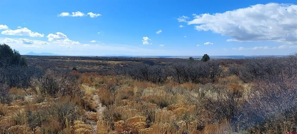 Road C Dove Creek, CO 81324