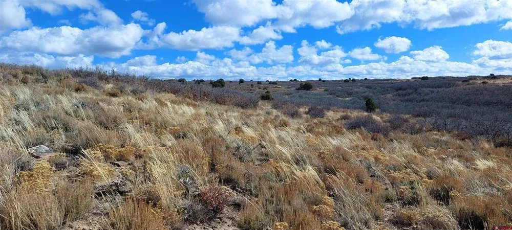 Road C Dove Creek, CO 81324