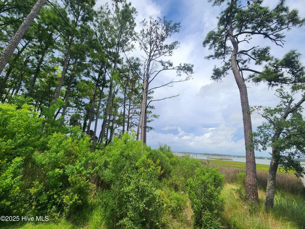 240 River Reach Drive Swansboro, NC 28584