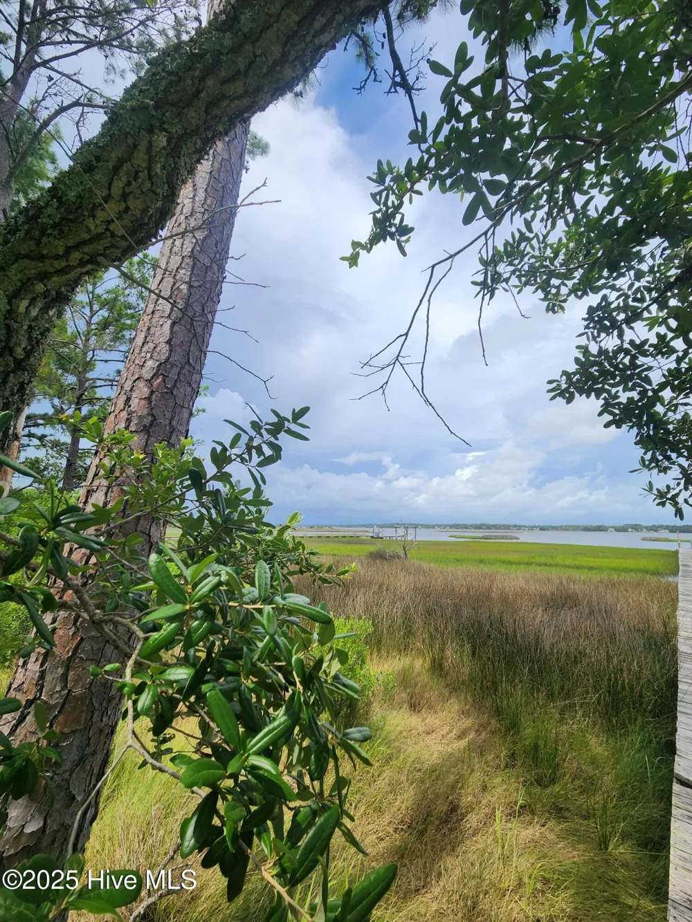 240 River Reach Drive Swansboro, NC 28584