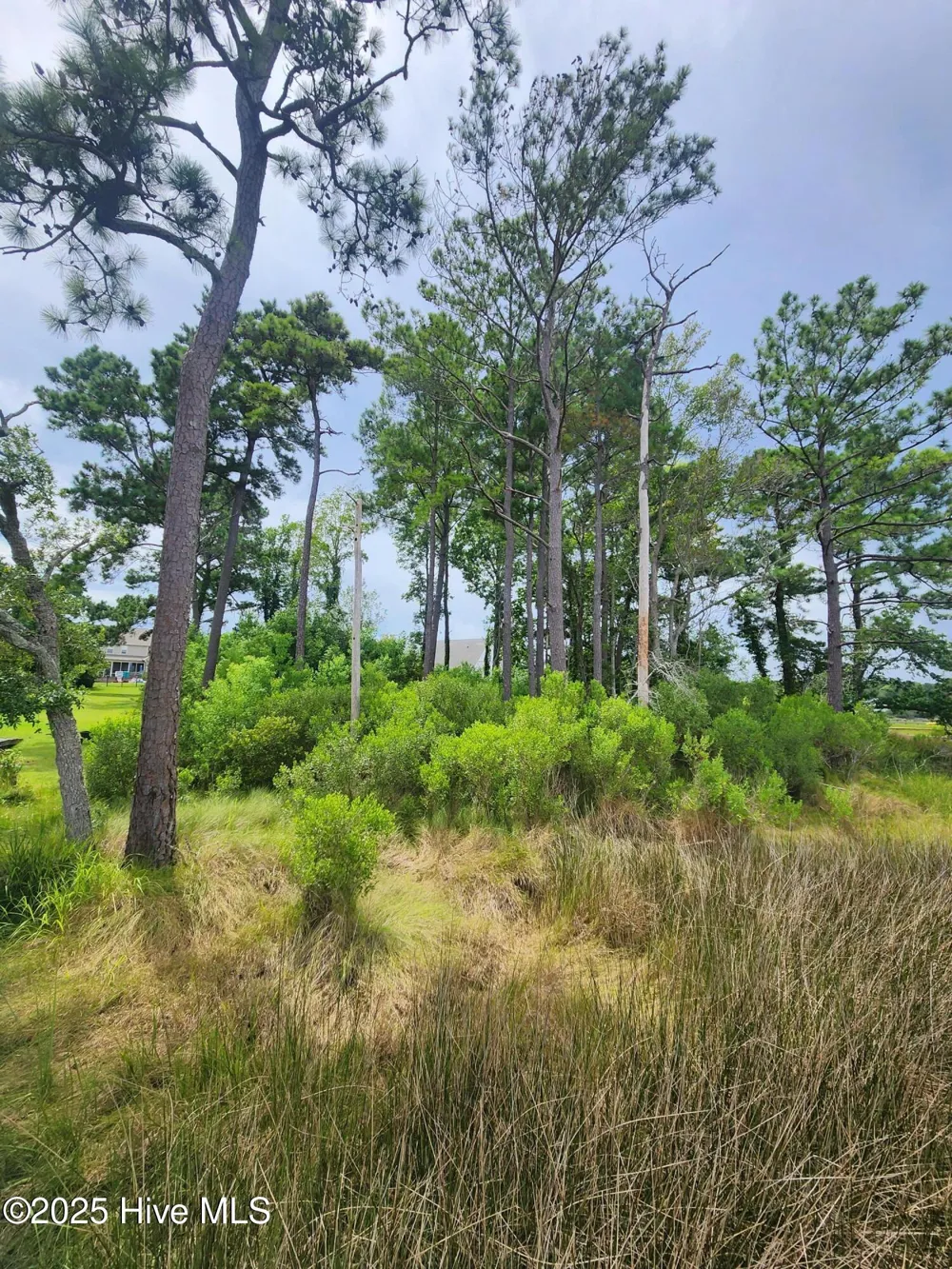 240 River Reach Drive Swansboro, NC 28584