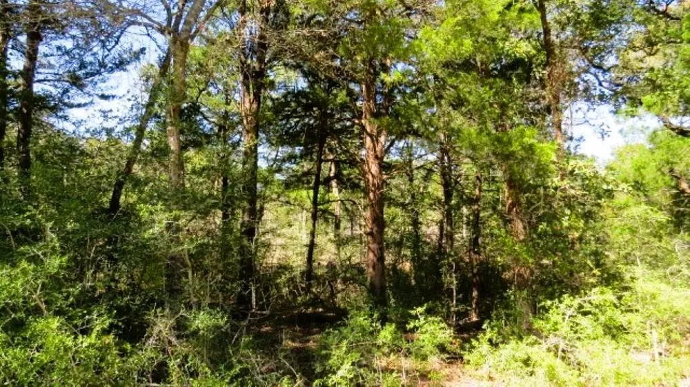 Jack Rabbit Lane Hearne, TX 77859