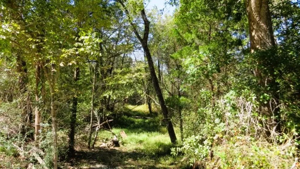 Jack Rabbit Lane Hearne, TX 77859