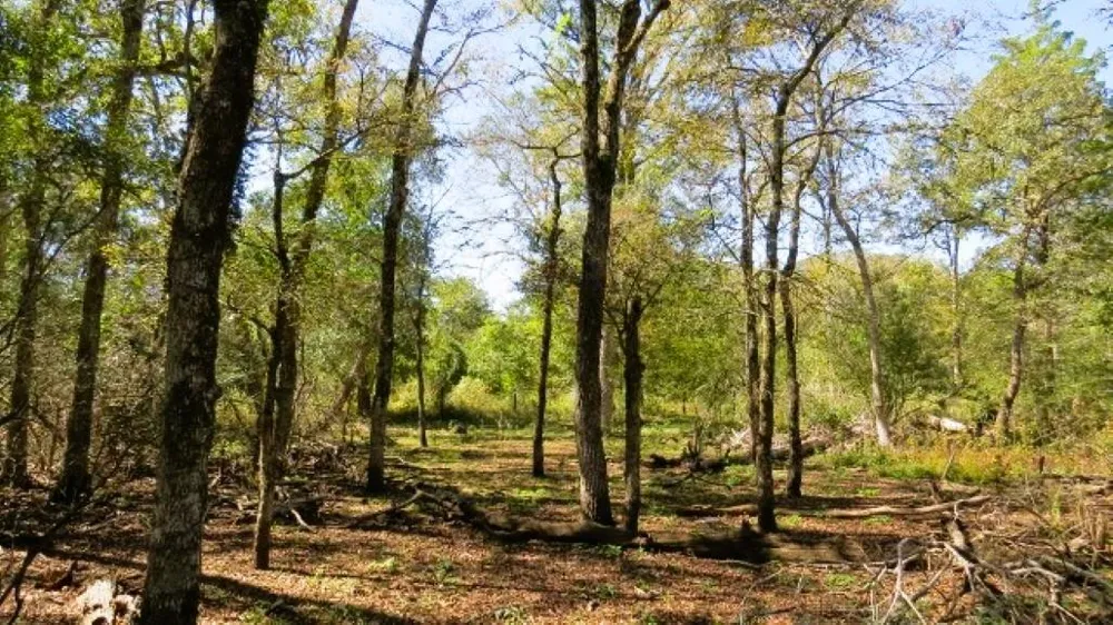 Jack Rabbit Lane Hearne, TX 77859