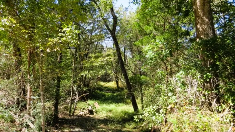 Jack Rabbit Lane Hearne, TX 77859