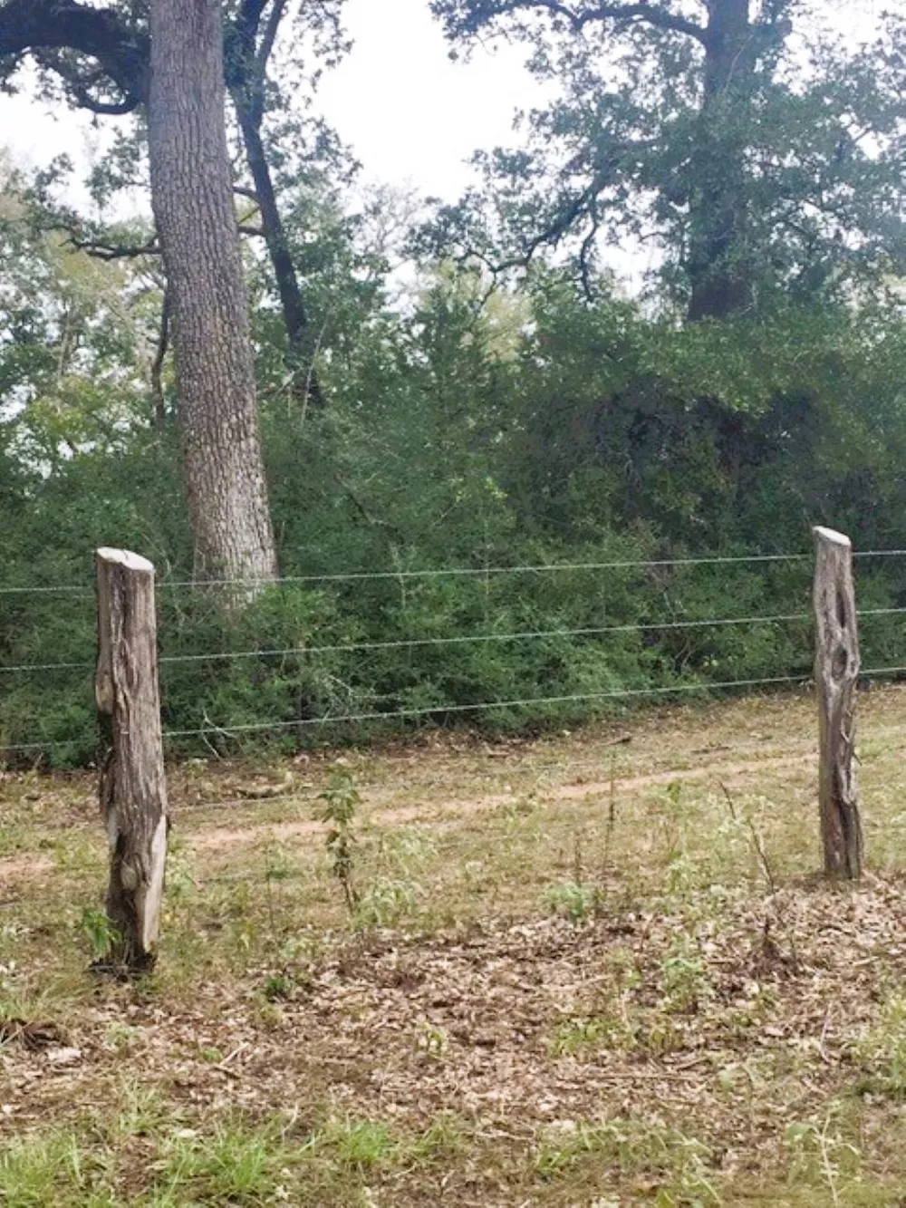 Jack Rabbit Lane Hearne, TX 77859