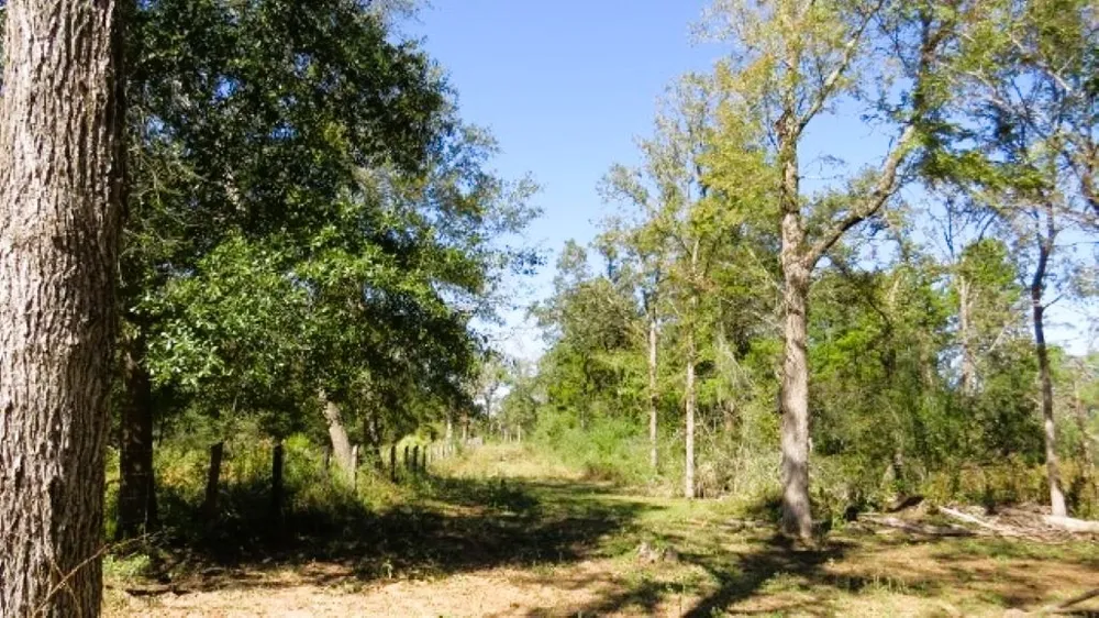 Jack Rabbit Lane Hearne, TX 77859