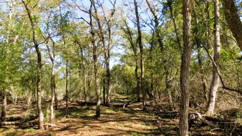 Jack Rabbit Lane Hearne, TX 77859
