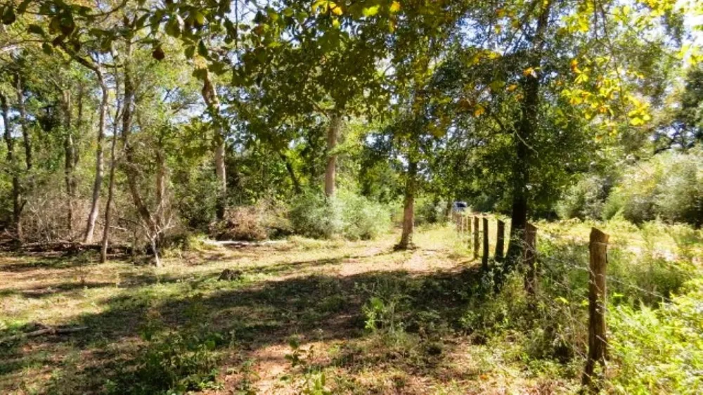Jack Rabbit Lane Hearne, TX 77859