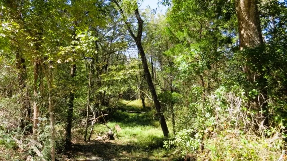 Jack Rabbit Lane Hearne, TX 77859