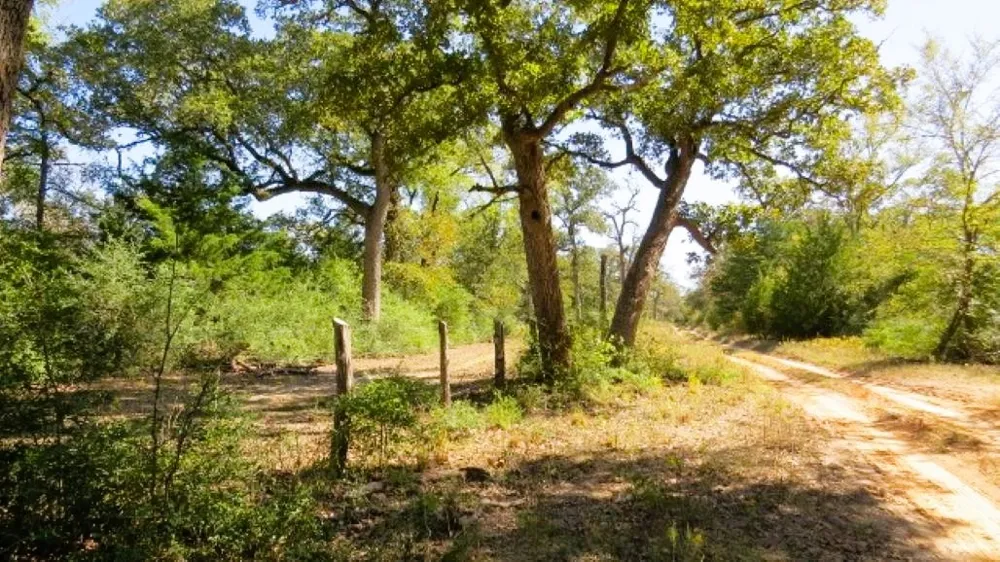 Jack Rabbit Lane Hearne, TX 77859