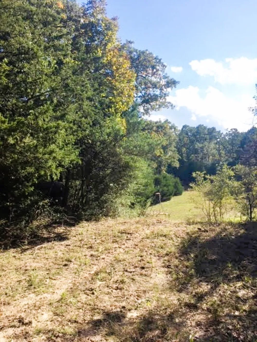 Jack Rabbit Lane Hearne, TX 77859