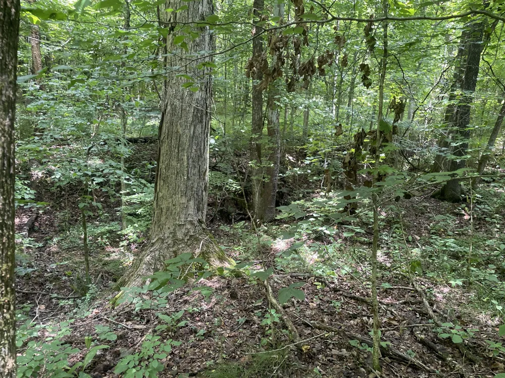 1535 Mount Olivet Rd Hendersonville, TN 37075