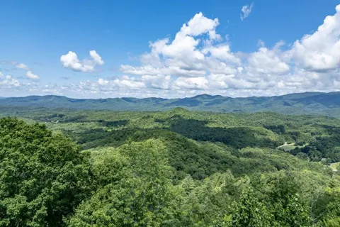 Lot 111C Puett Cove Estates