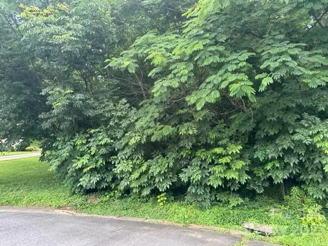 192, 188, 196, 197 & 193 Riverbirch Drive SE Concord, NC 28025