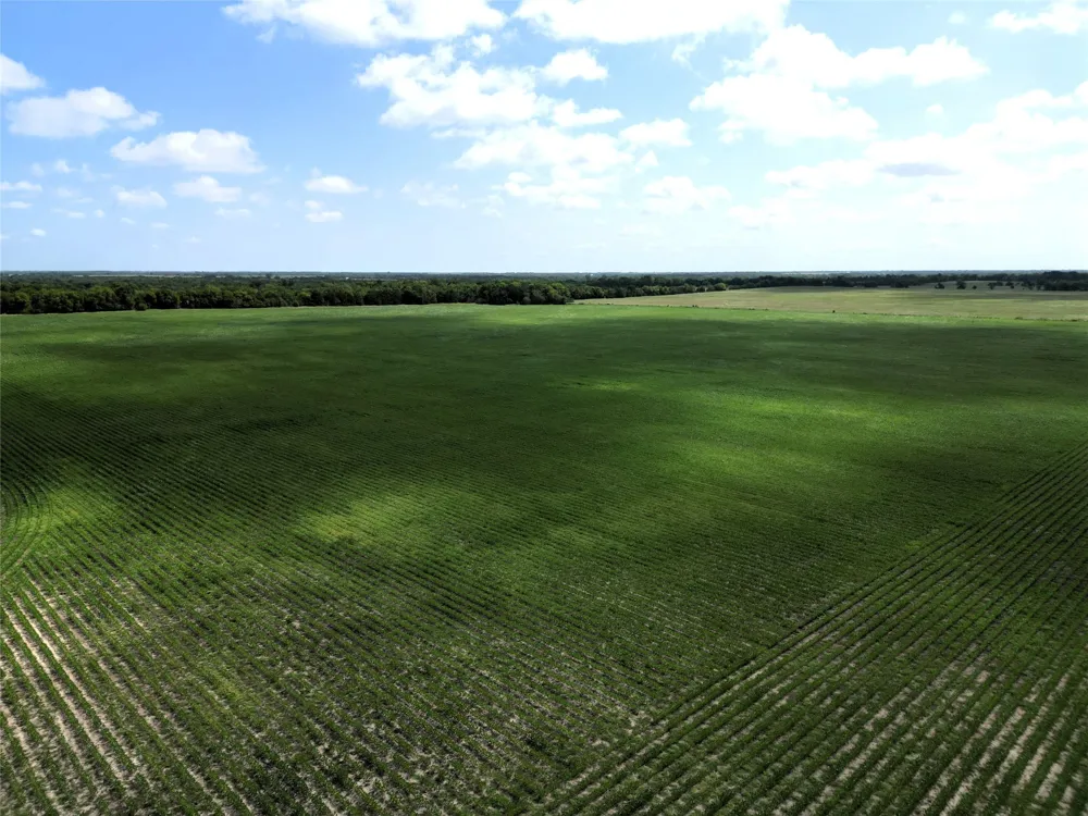48 CR 2165 Klondike, TX 75440