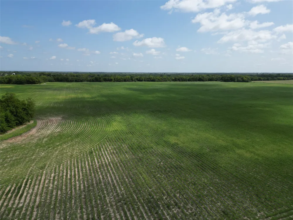 48 CR 2165 Klondike, TX 75440