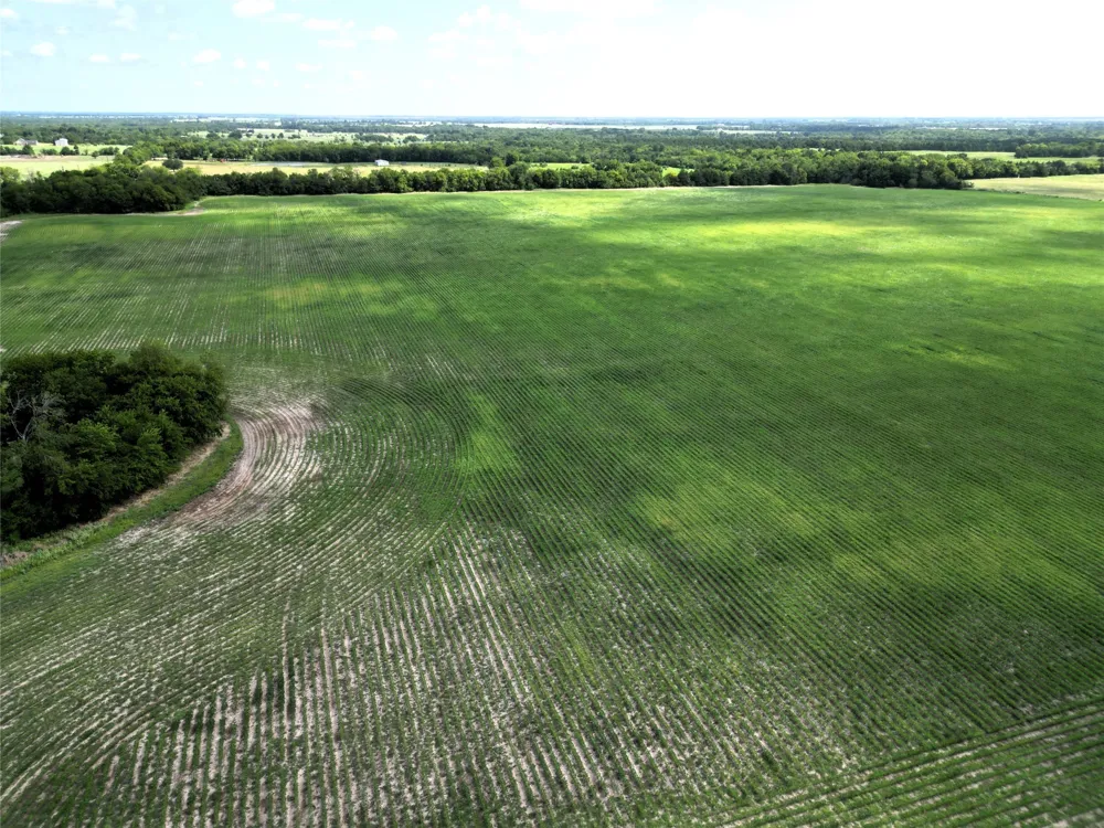 48 CR 2165 Klondike, TX 75440