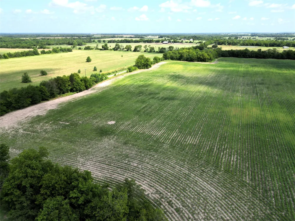 48 CR 2165 Klondike, TX 75440