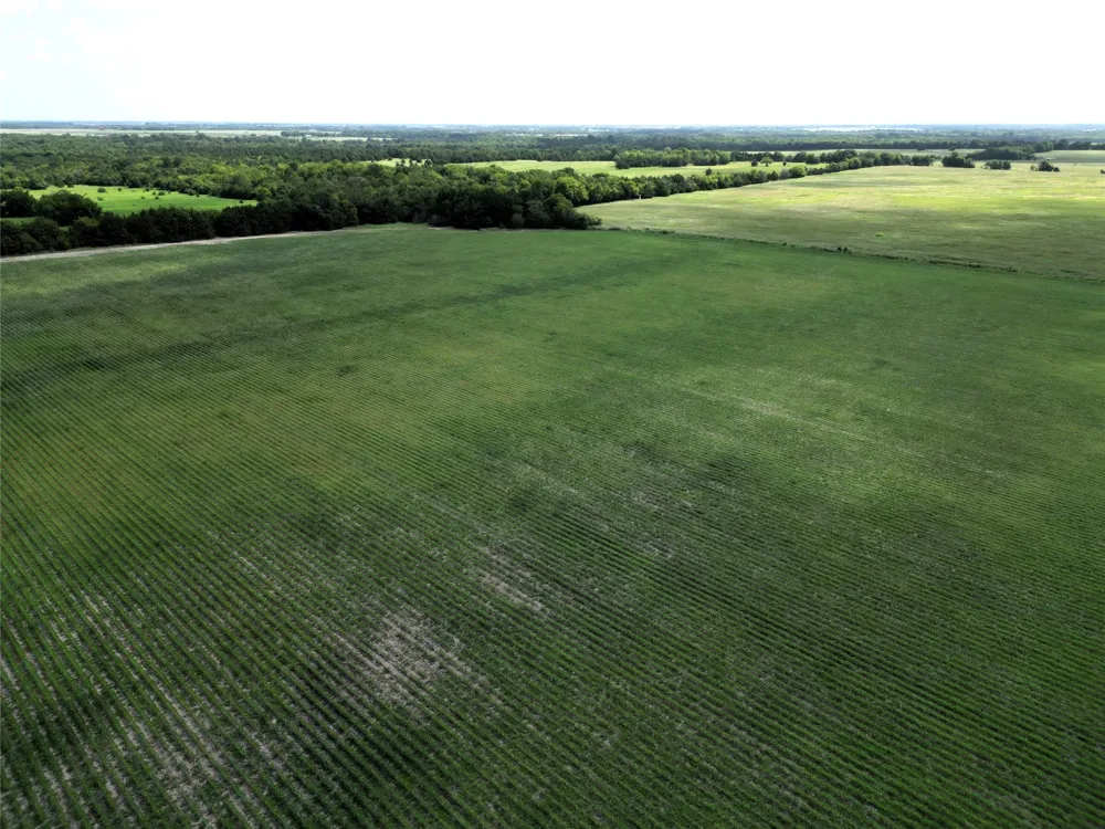48 CR 2165 Klondike, TX 75440