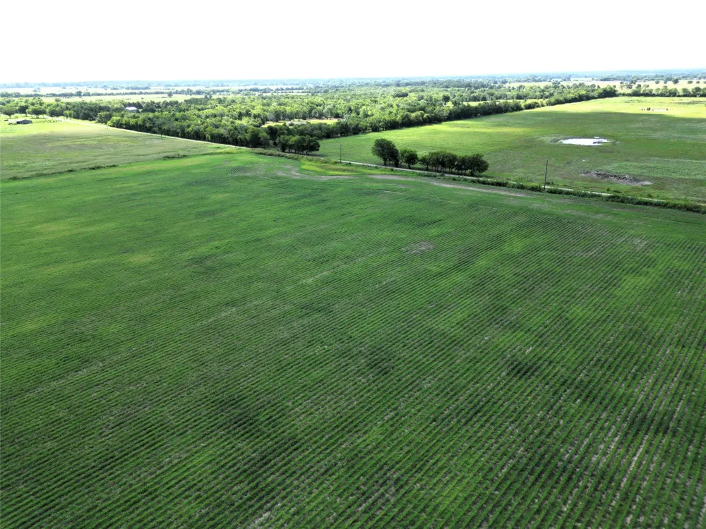 48 CR 2165 Klondike, TX 75440