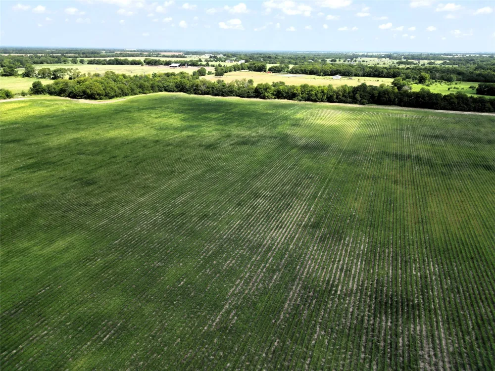 48 CR 2165 Klondike, TX 75440