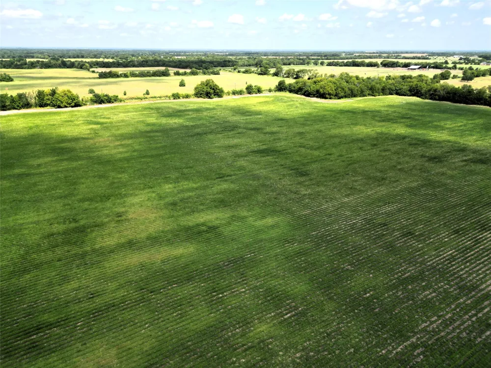 48 CR 2165 Klondike, TX 75440