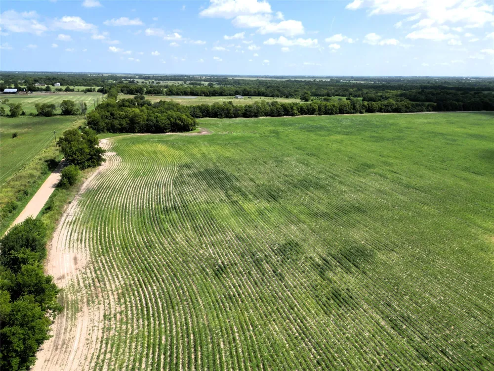 48 CR 2165 Klondike, TX 75440