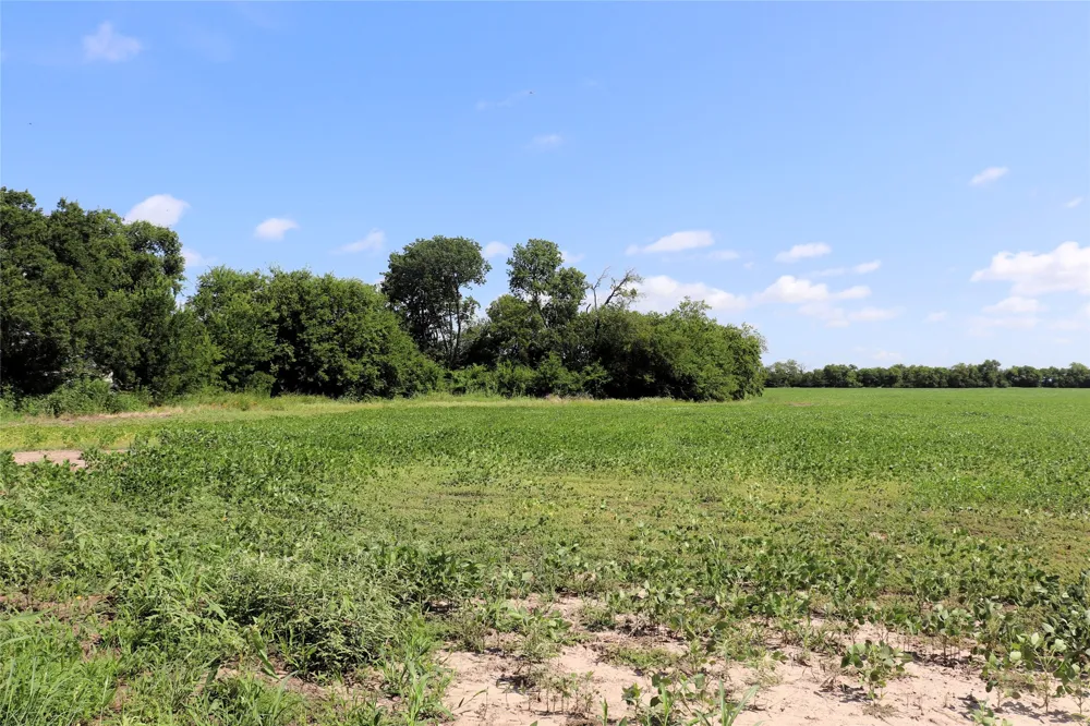48 CR 2165 Klondike, TX 75440