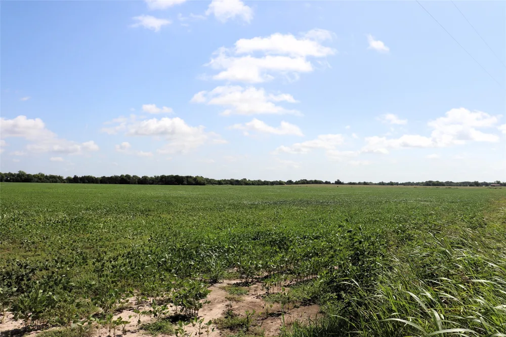 48 CR 2165 Klondike, TX 75440