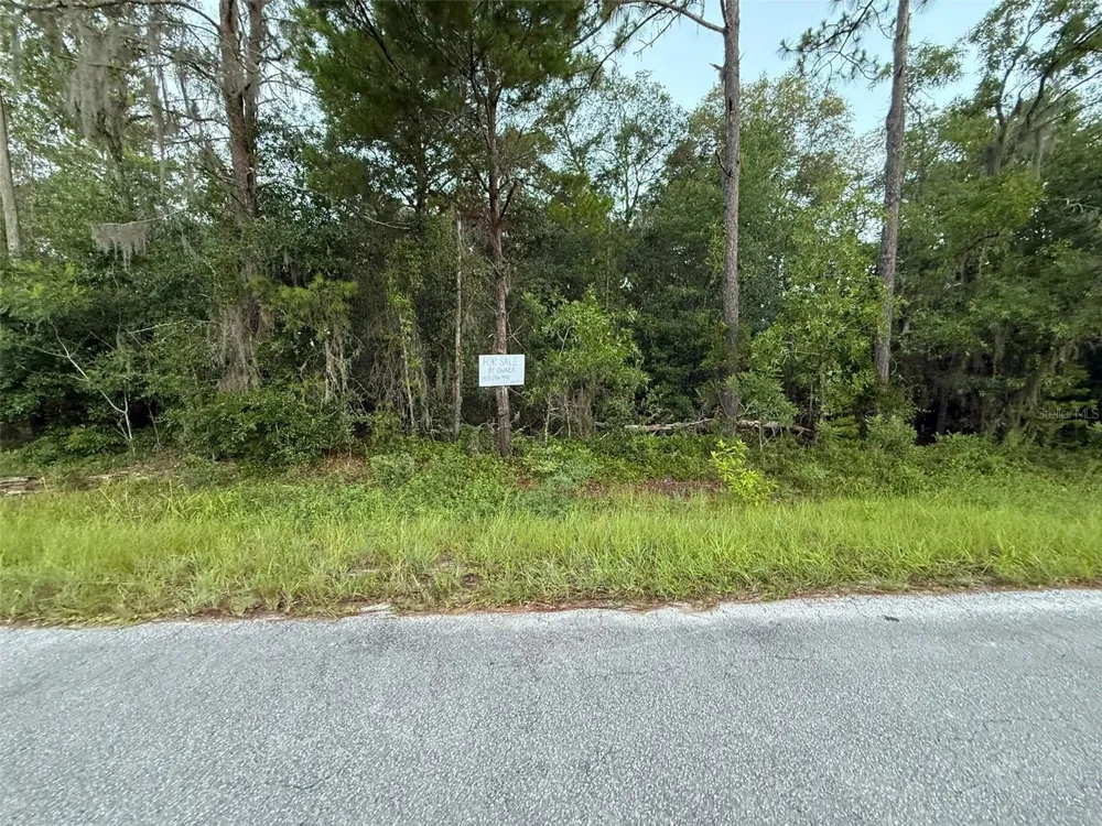 905 E HILLSBOROUGH AVENUE Florahome, FL 32140
