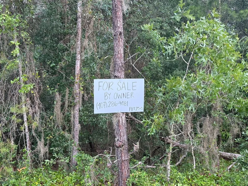 905 E HILLSBOROUGH AVENUE Florahome, FL 32140