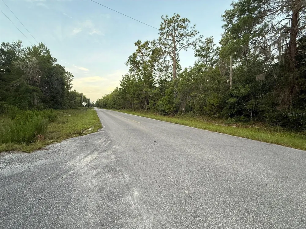 905 E HILLSBOROUGH AVENUE Florahome, FL 32140