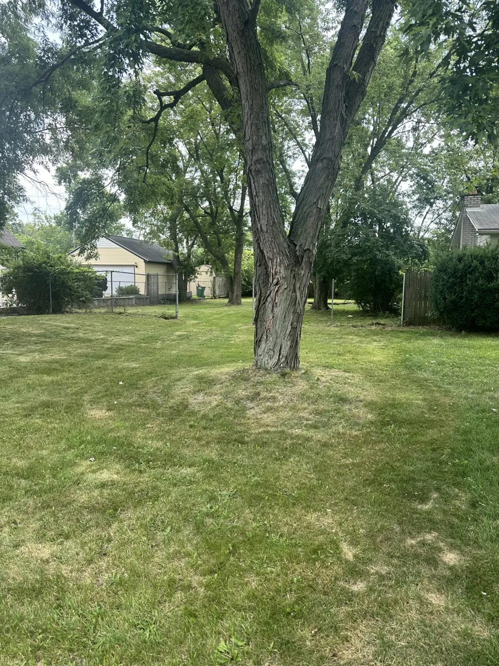 339 Ohio Street Ypsilanti, MI 48198