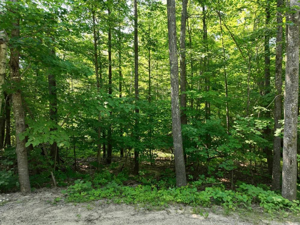 TBD Hillerman Road NW Hackensack, MN 56452