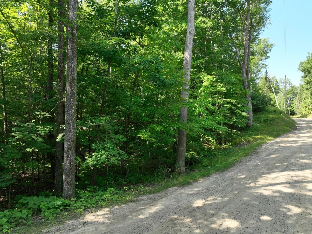 TBD Hillerman Road NW Hackensack, MN 56452