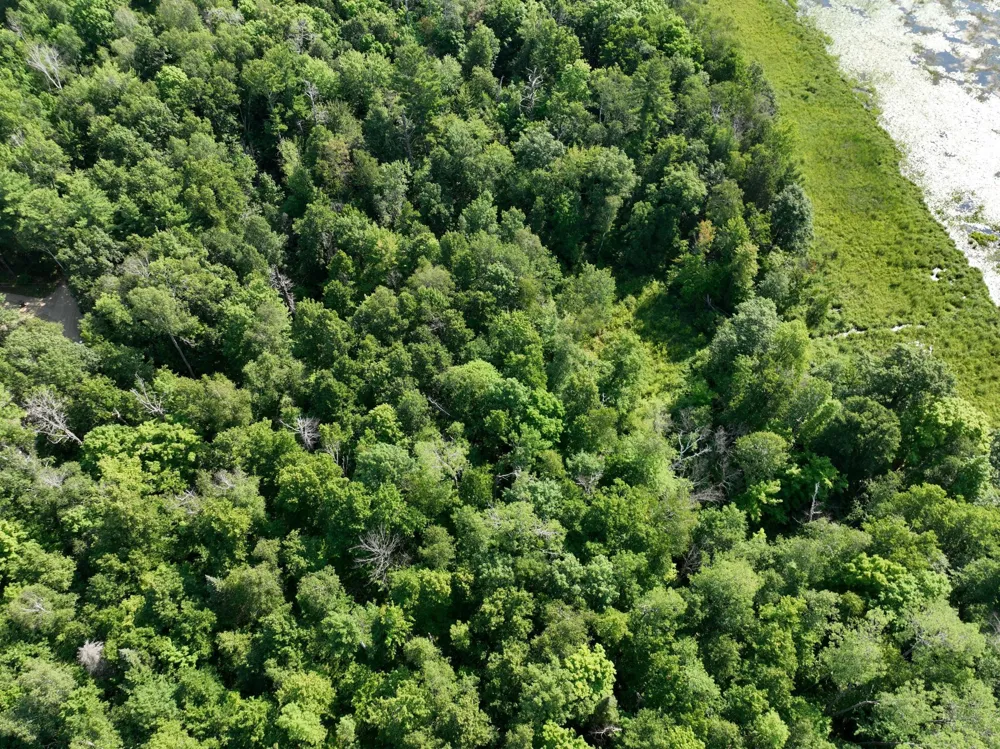 TBD Hillerman Road NW Hackensack, MN 56452