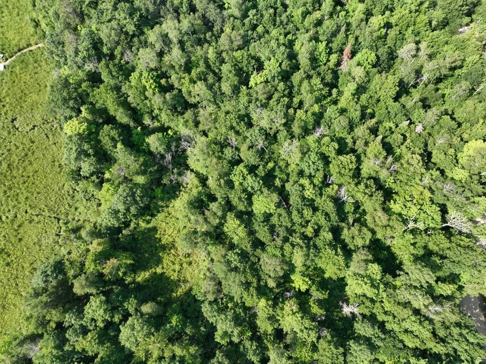 TBD Hillerman Road NW Hackensack, MN 56452