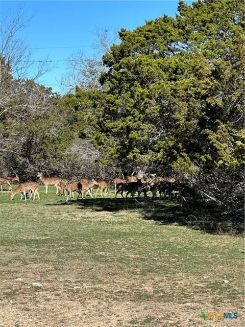 Deerwood Circle