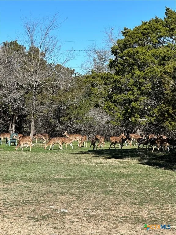 Deerwood Circle Bandera, TX 78003