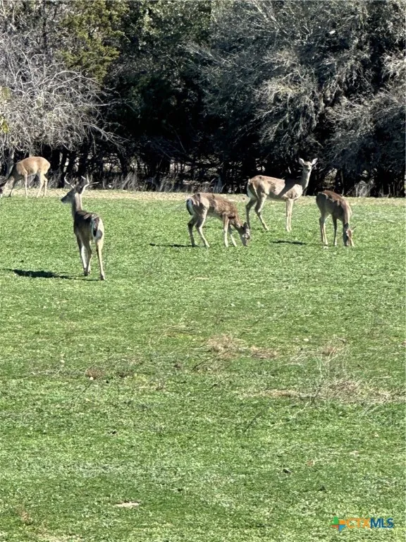 Deerwood Circle Bandera, TX 78003