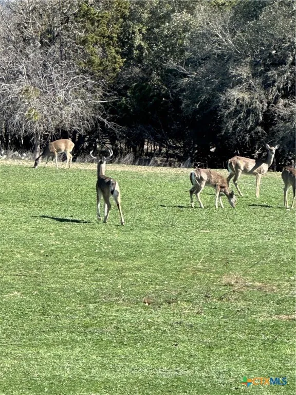 Deerwood Circle Bandera, TX 78003